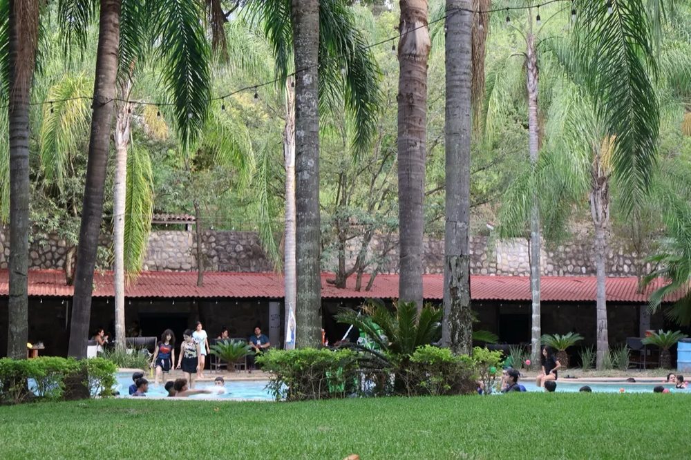 Áreas verdes y palmeras