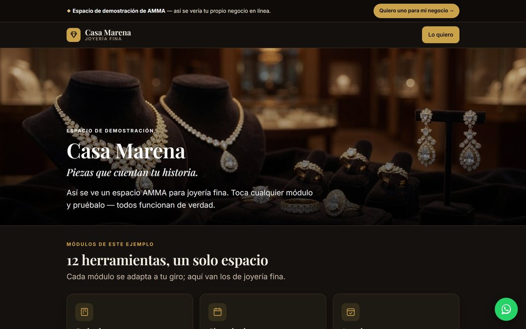 Ejemplo AMMA — Una joyería fina